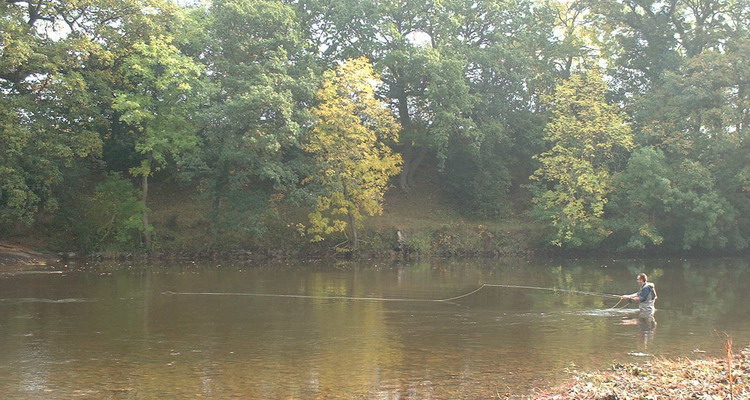 Fly fishing on the River Wye