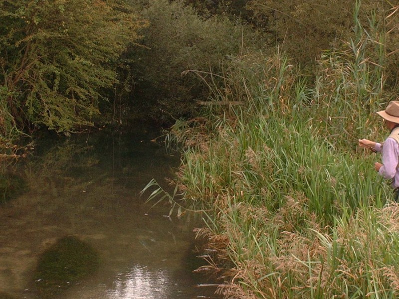 Learning to fly fish: The&nbsp;cast