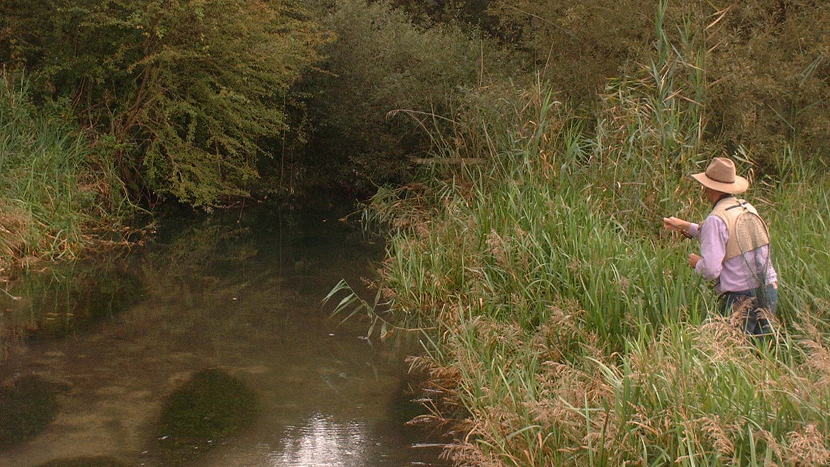 Fly fishing for trout
