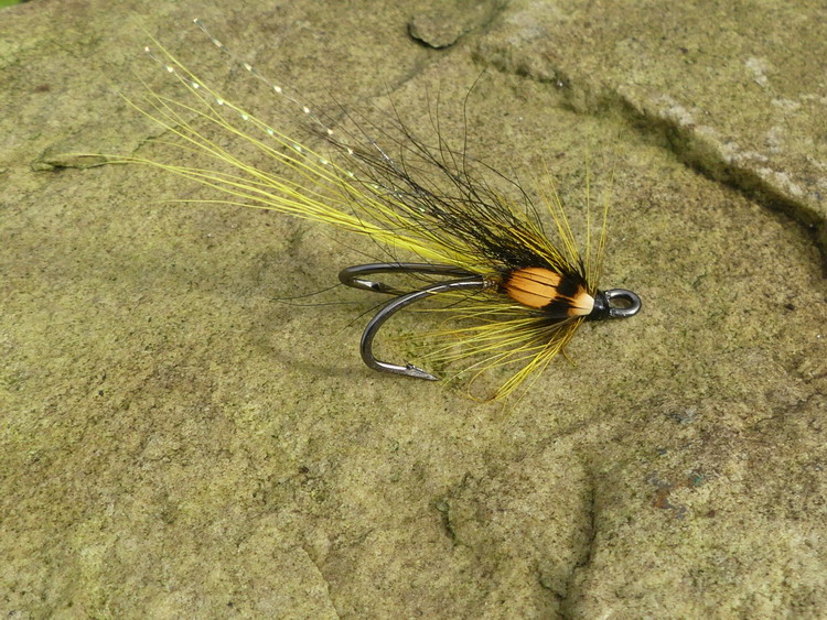 Black and Yellow Shrimp