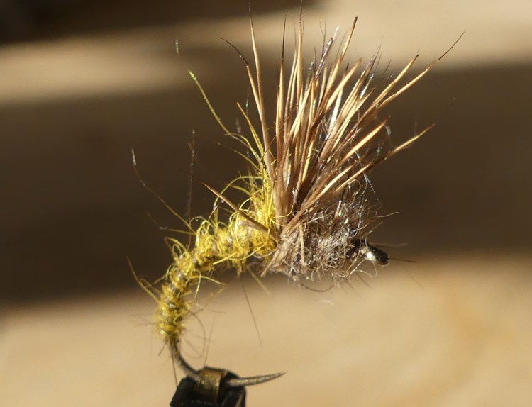 Which dry fly for trout? – Blue Zulu Fly Fishing
