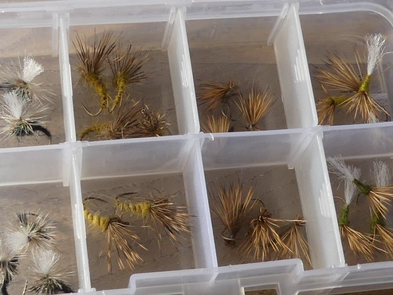 Which dry fly for&nbsp;trout?