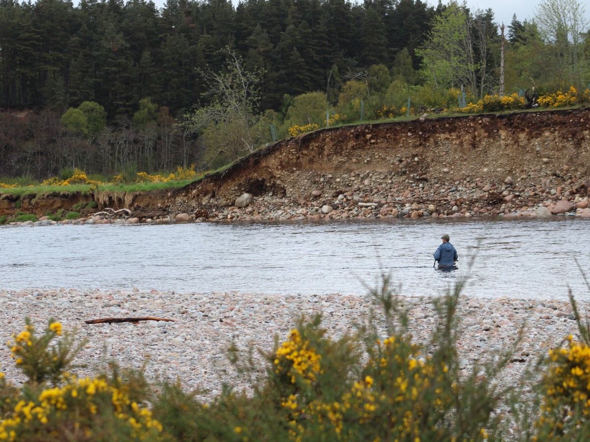 Dee salmon fishing in&nbsp;May