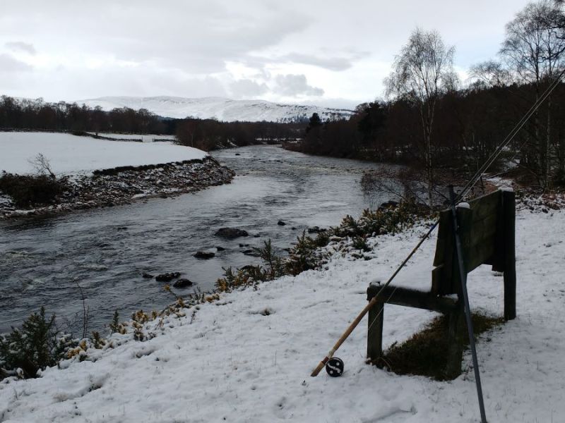 Stuck for Christmas present&nbsp;ideas?