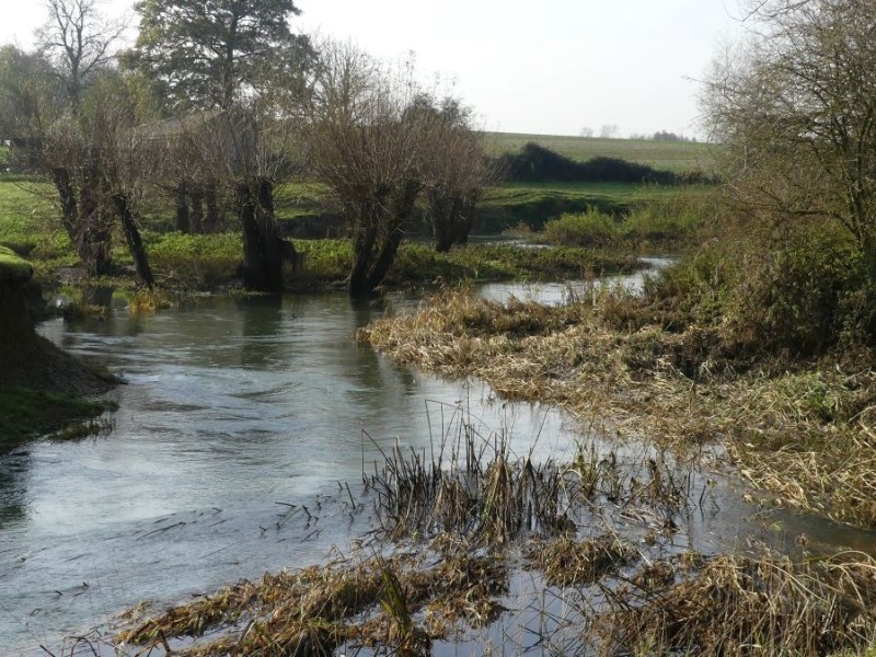 Tackling the river pollution&nbsp;crisis